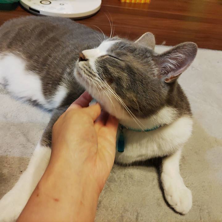 68434ca6 6ea5 4c18 a715 7706e53e1d82 1654868491821