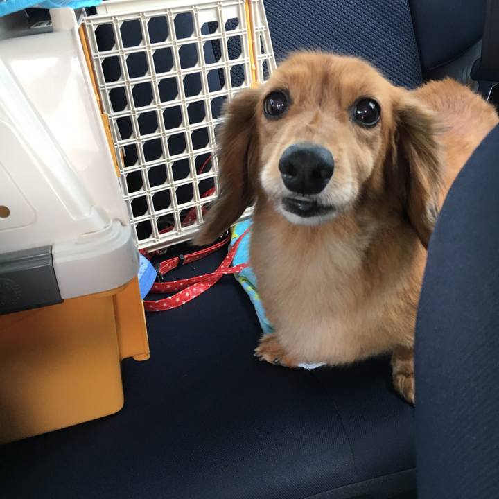 68434eb1 c24d 4982 aa86 957083f5419a 1534342686453