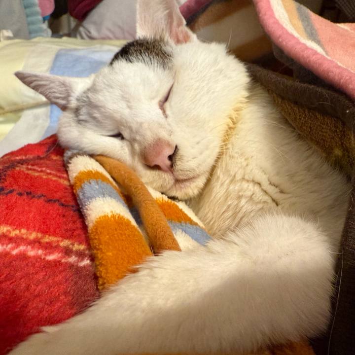 6843554b 2d5f 4029 aa25 29942ee97f2e 1765199085293