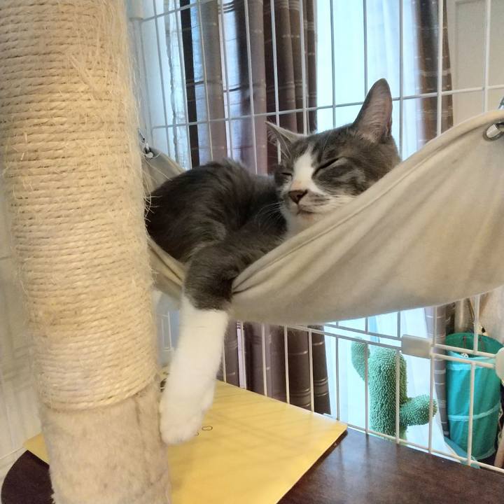 684386be 2e9e 44c6 a0f0 72c14d895ec0 1621676348144