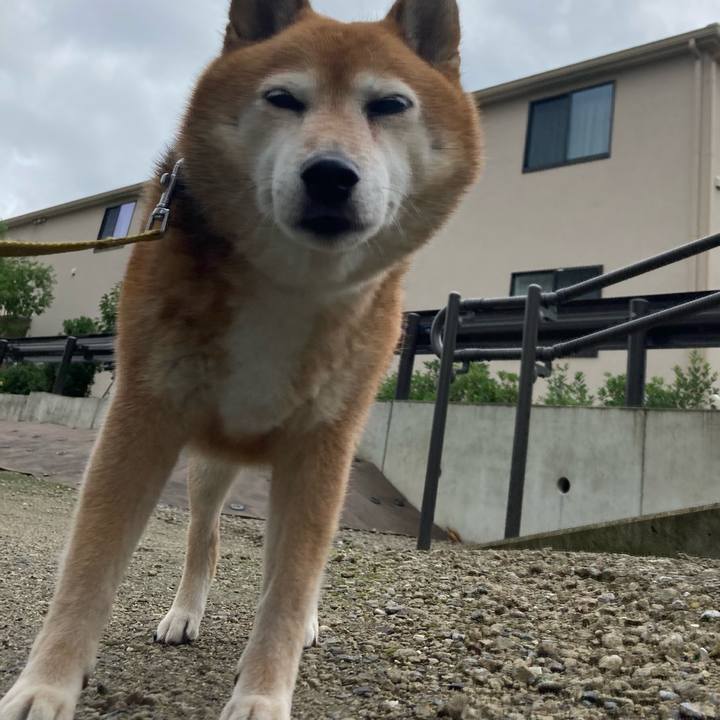 68439f29 5cc1 4cac 8c85 ec626d192ab7 1657960050296