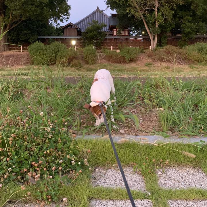 6843a467 c375 4688 aee9 8aac79948918 1564919815154