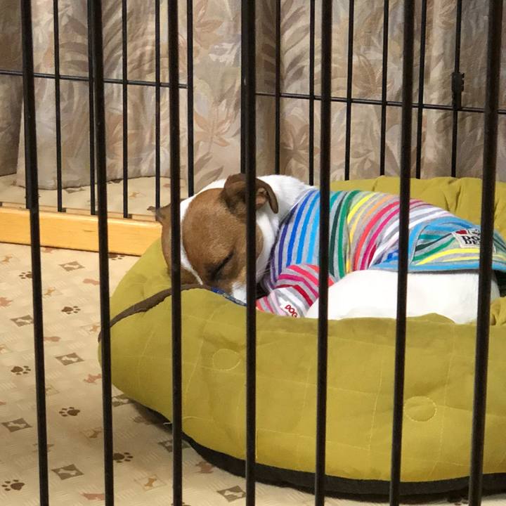 6843c7e9 942d 4d04 95a5 036c63b0453c 1523527374718