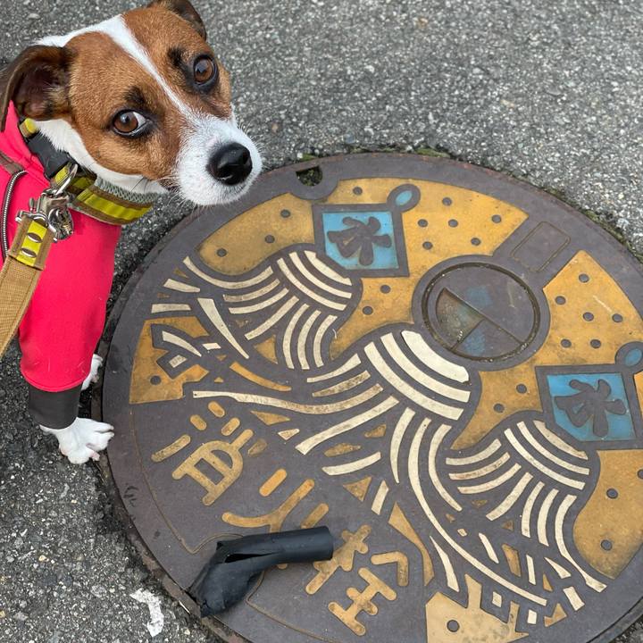 6843ea56 e800 4e07 9de6 c8ed9f2cff25 1644729272413