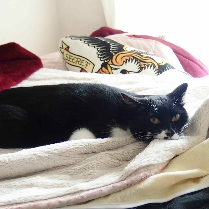 6844039c 7283 446c 99eb 547da6b0ba4d 1529615568967