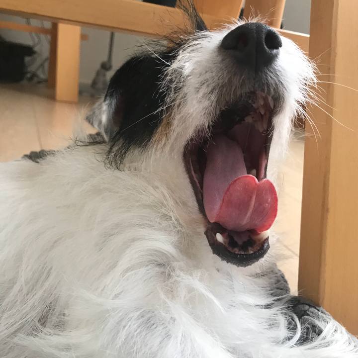 68442073 eb63 471a 806f fed7c237058b 1536558787582