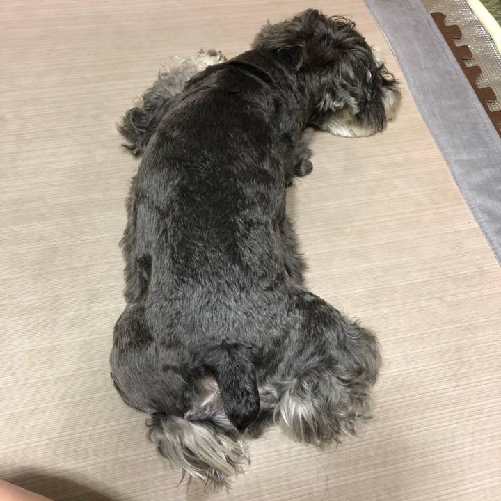 6844384f 2759 43eb 987a 388812b6d641 1629632464328