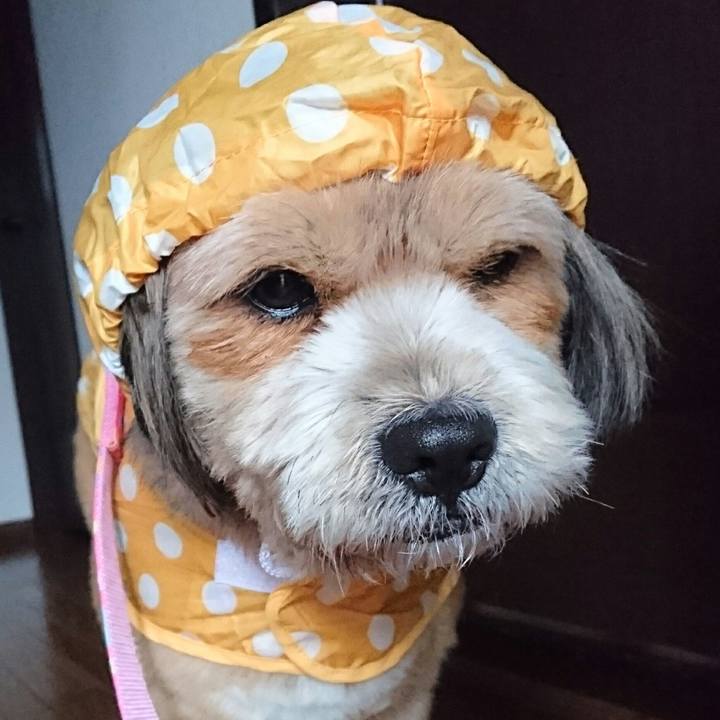 6844b28e 5395 4bf3 98e9 0224decbc16b 1520466335820