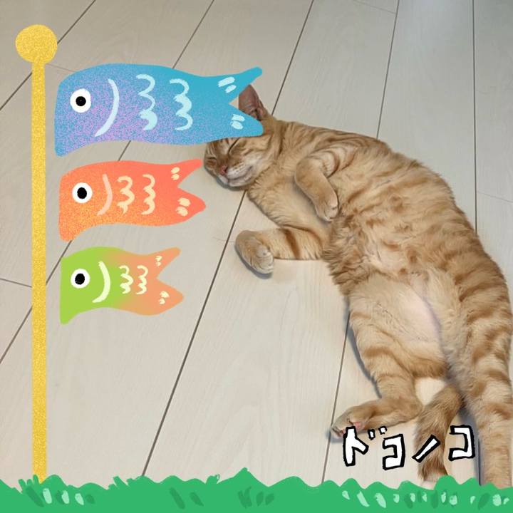 6844dd02 f683 4f59 ab45 dac90ec66388 1715076910008