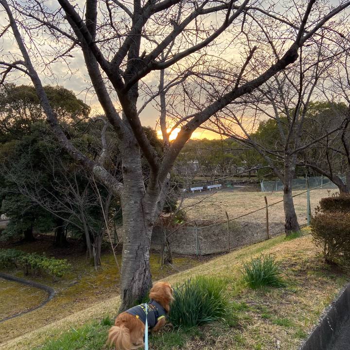 68454470 c4d3 448c b0fa 907f3de5b985 1615845133712