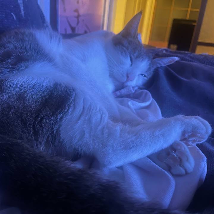 68455a4a 11fa 496a 8d69 b03d0d5c9268 1626871879830