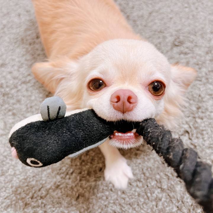 68455d4d 92a8 46f2 be6b f0a948c03979 1663238183516