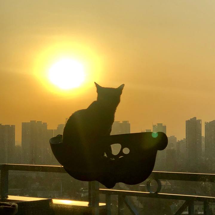 68456772 8f17 4bfe a549 3d1ef5b0249d 1615976111293