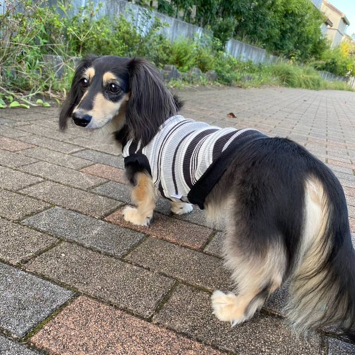 6845870e a8fd 4737 9b3a e1eb465b1a80 1758846004810