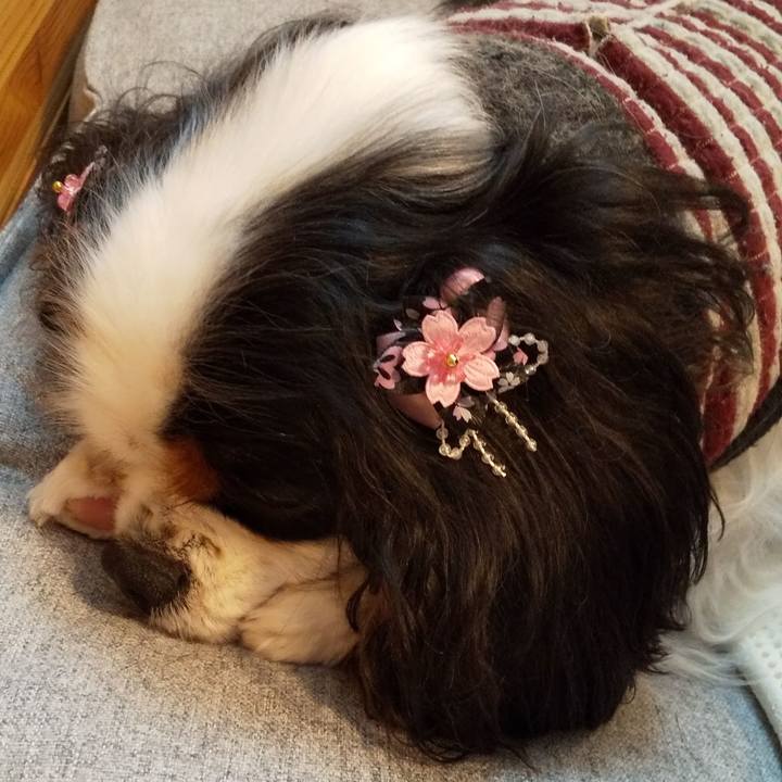 68458804 e12b 4618 9b3b 4b1487e76498 1553404822457