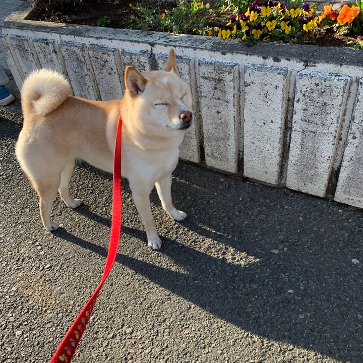 68459860 c248 44b1 a897 dda1a5da38ff 1614507782326