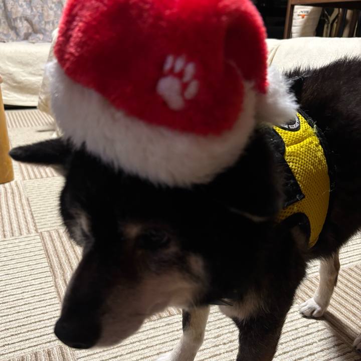 6845b0c4 9df8 4e67 b34e 7f0692f1e834 1766653600193