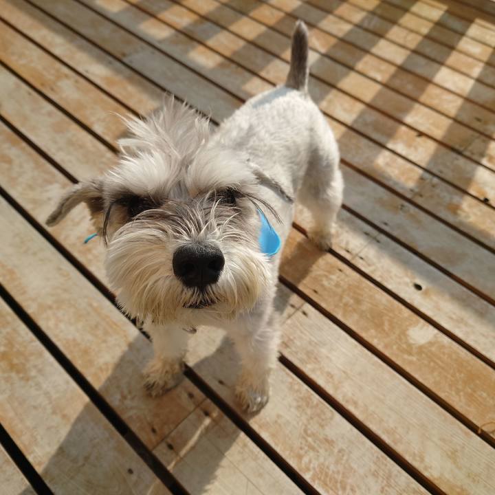 6845b914 093e 44a5 85c8 6ace18256c58 1774654001280