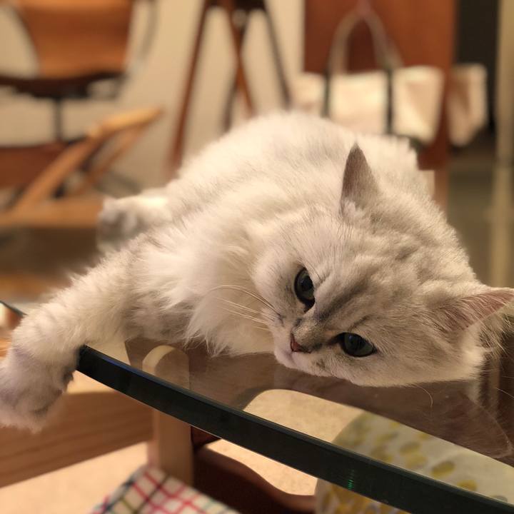 6845bb0b e0e8 46d2 a404 c16df7bf2798 1536488098602