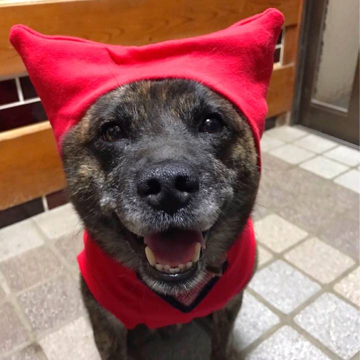 6845e479 78c4 410f ab1f 5748cff4d33c 1571753217169