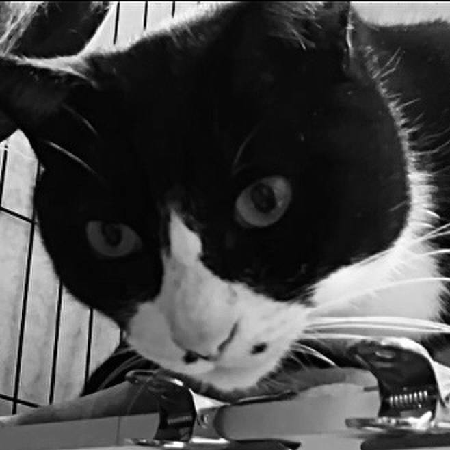 68462415 3802 4d3e 8d6e a171ed19e6b2 1742730610569