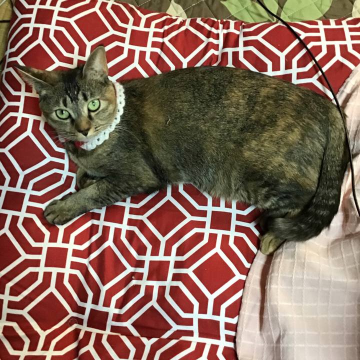 6846395b 255c 43d4 9bf0 febc42e4f39d 1609659800904