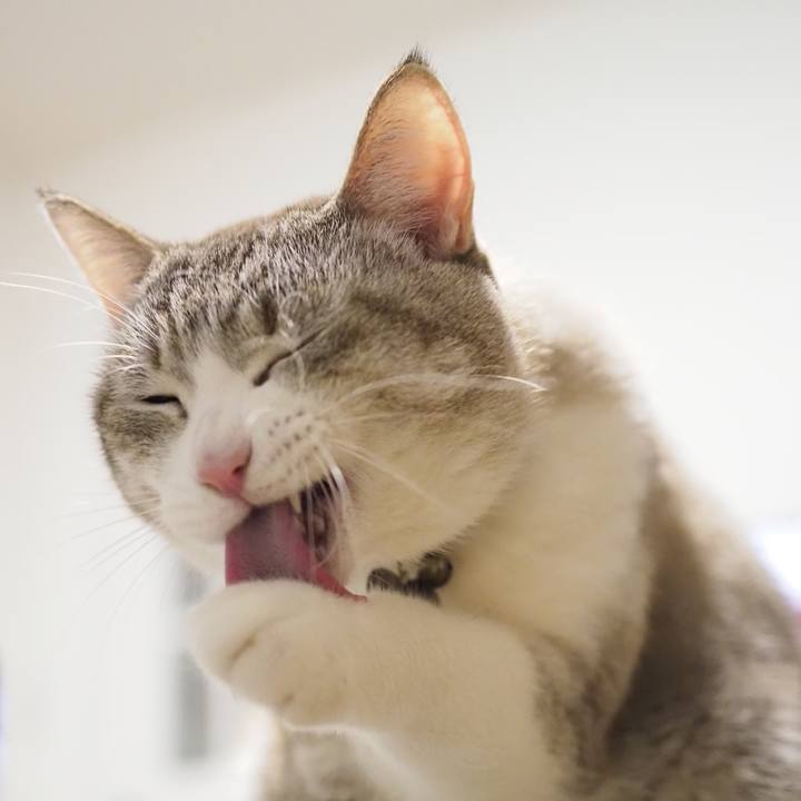 684645ab 9028 488f 9a1f 025abbce6aab 1642339041253