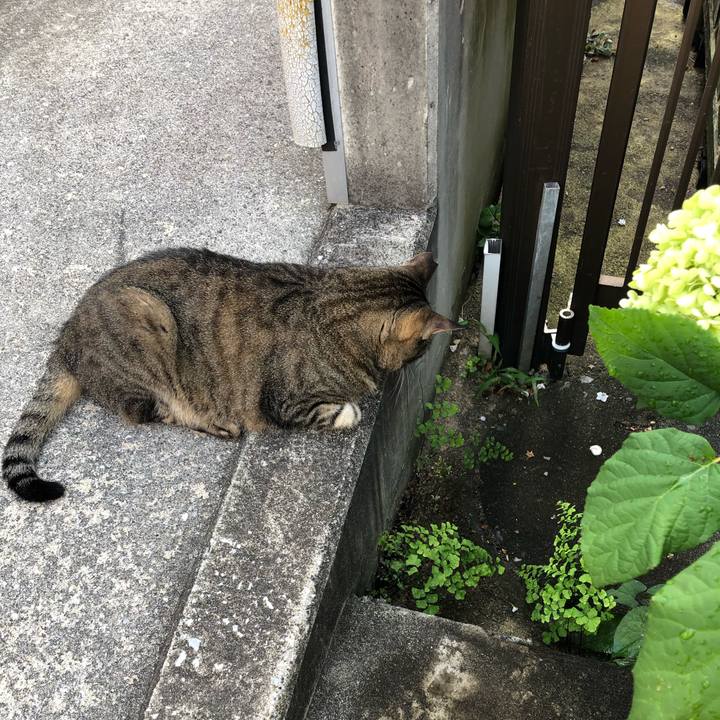 68467818 5e44 414f a872 ebe968ea5fe9 1564717455303