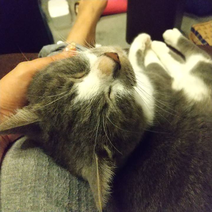 684680ba bbae 43ed ac37 ab9a033a00ee 1626267334106