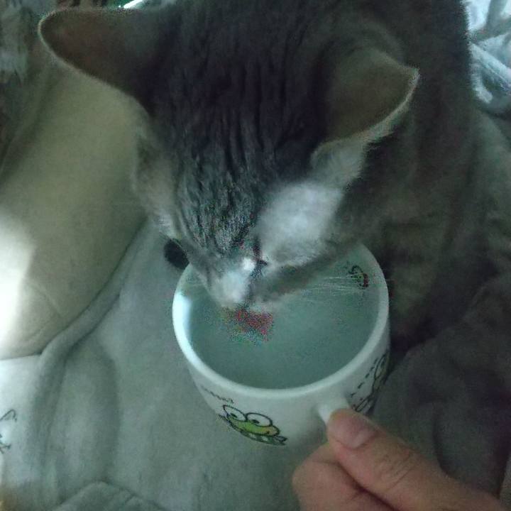 68468372 3e8e 4d68 a53a b68974c64d89 1697232596947