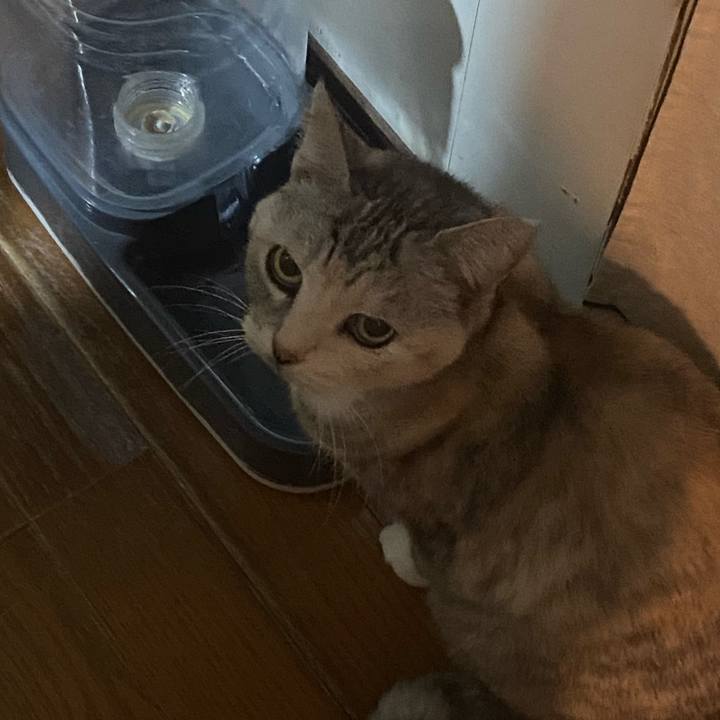 68469019 09ba 4665 ae66 862c609fa400 1771601163637