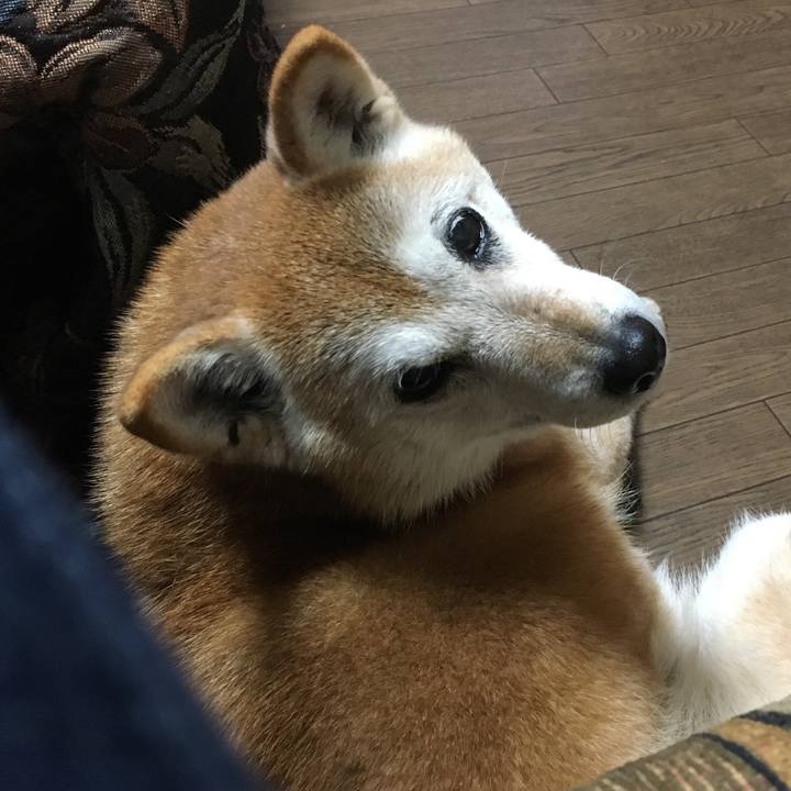 6846a84f 9956 4eab 8339 51f20683b008 1516320135912