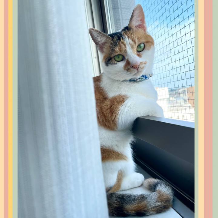 6846a9ac a4a6 4e4d 9849 f2c0c6122550 1725406498572