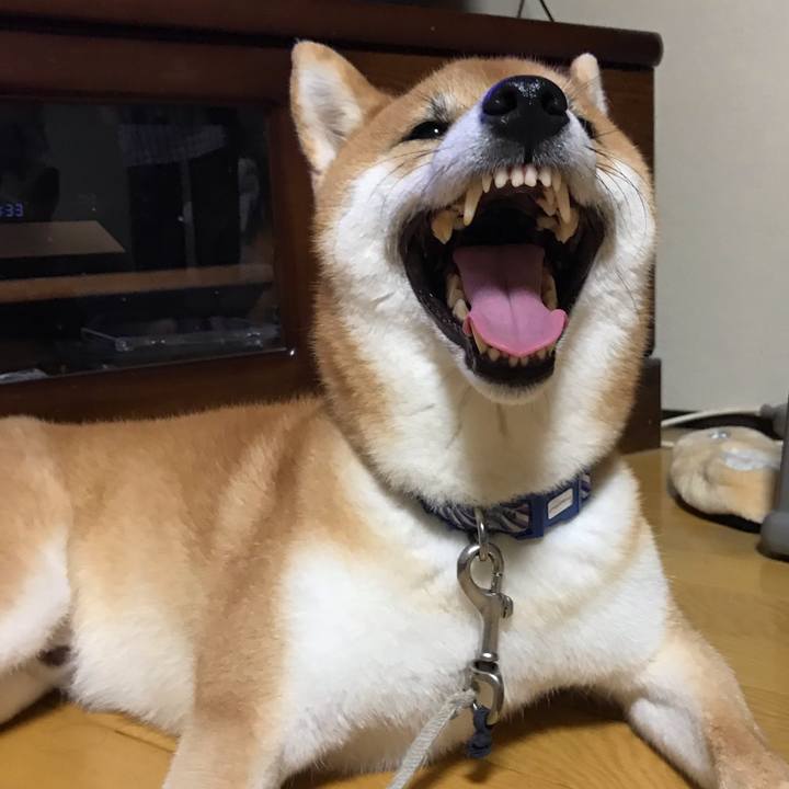 6846bdb7 137a 4028 9c77 1f60ad30e347 1563171740136