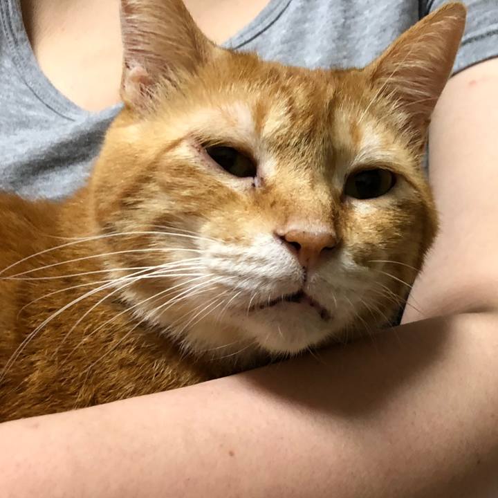 6846c51d 3c1f 4d44 bcf9 43e6e081fa49 1598016383915