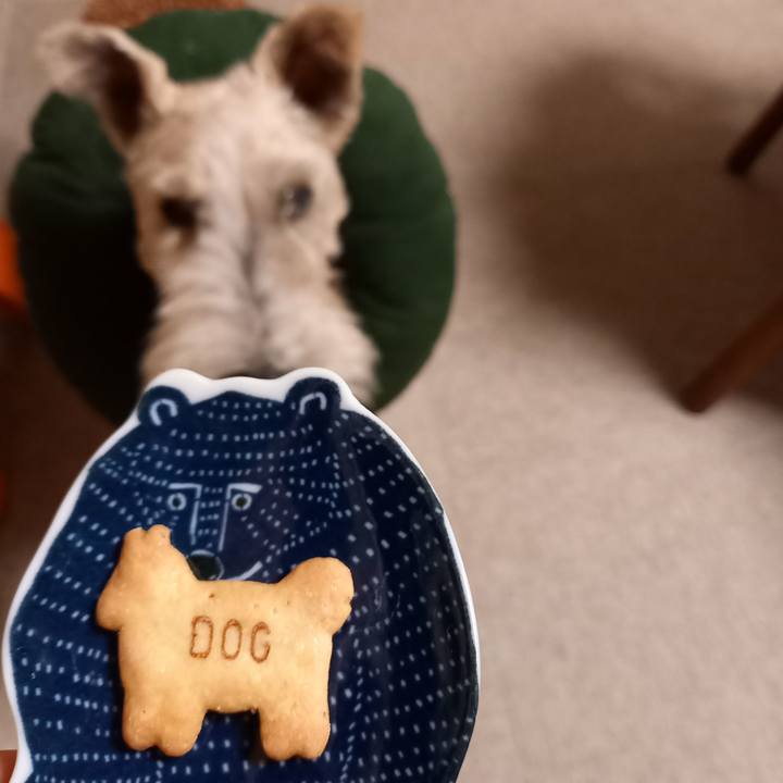 6846c6e0 7569 49b0 a00c 31f947780491 1636768732467