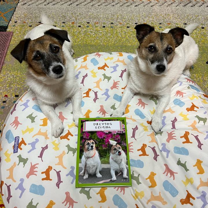 6846ccb9 0db7 408d 81d7 6e6b3aae4038 1720113125718