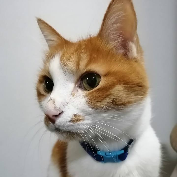 6846eb25 376d 4263 b14b 23dd1702da67 1638355934677