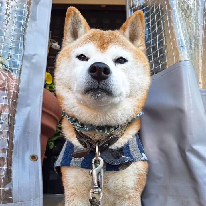 684706bb d51f 47ed 8096 c78021a7eda7 1705741409340