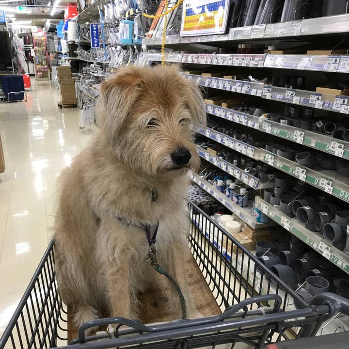 6847206d 6977 49ff 9212 820c6a3f10e7 1562065852648