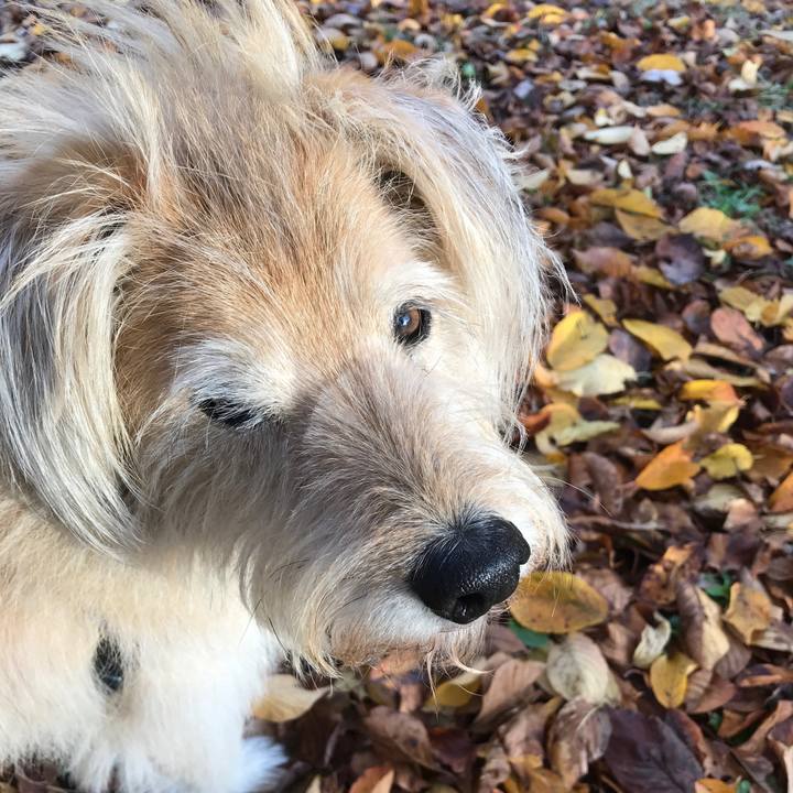 68472c0d 20c3 4abb 9ec5 a40cd43623eb 1544153016105