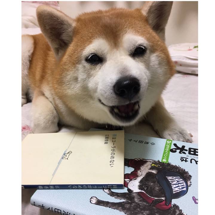 684739e7 f04b 4df3 b583 ed8cb49d3ca0 1534867430831