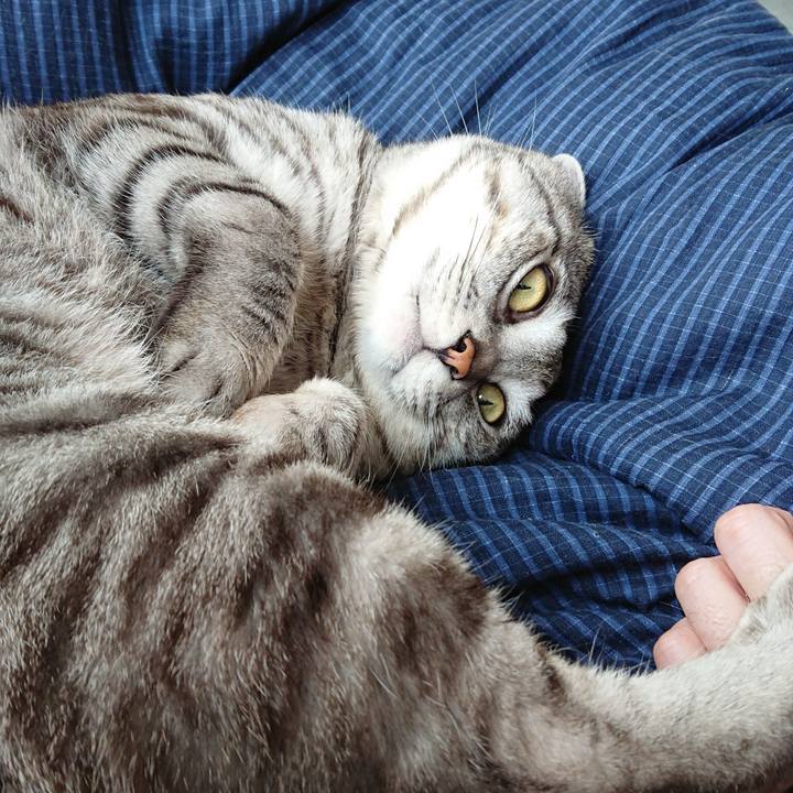 68474113 82a0 46fa 8514 385f347f67c9 1553477215825