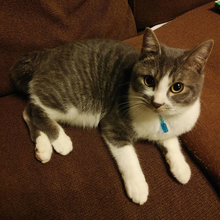 684747ed 6054 4a0f 8148 31e14372751b 1577805718622