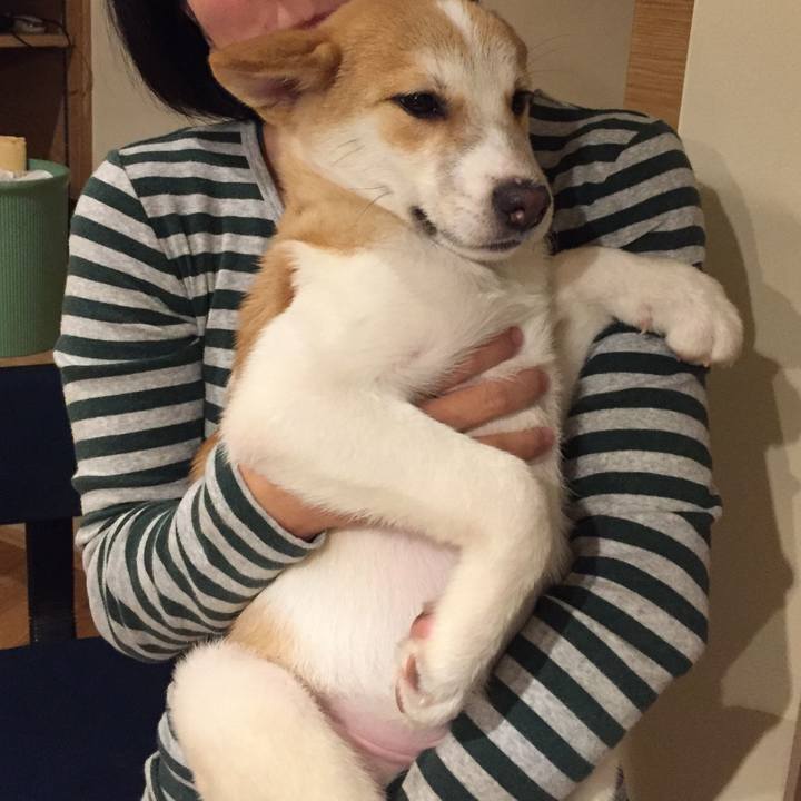 68485aed 09db 4c1f 8a6c 56299f60f874 1522159166473