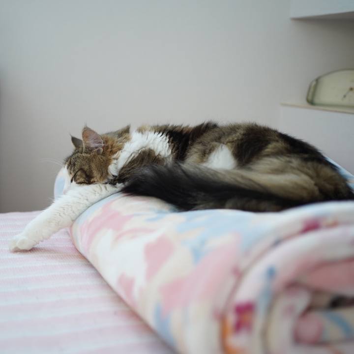 68488f88 bd89 4e0a a850 e085ed0d54bf 1593150028534