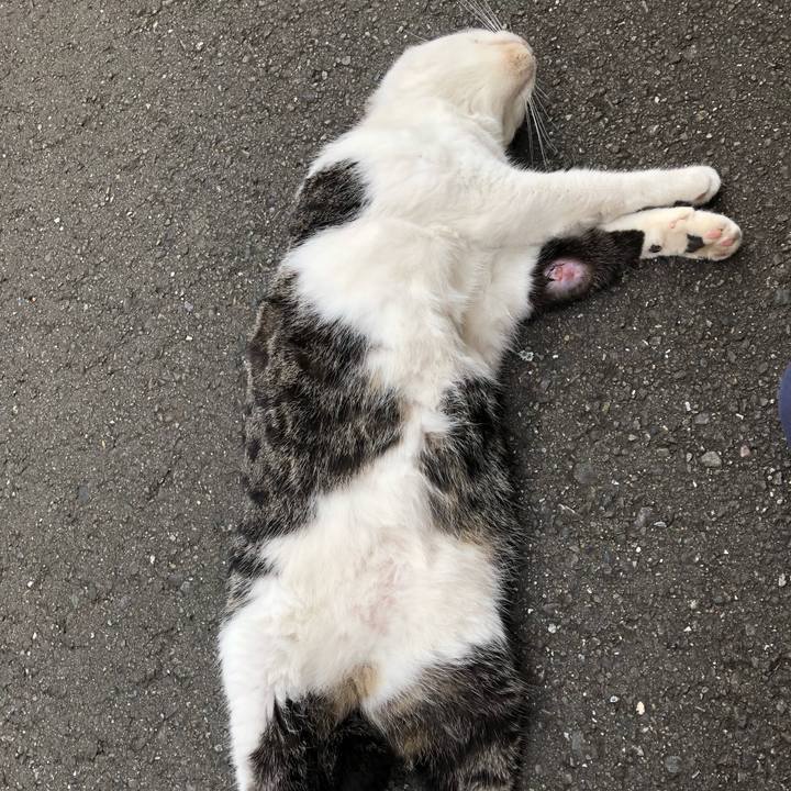 68489fb9 76e0 4c3a b00b 7a40c5f78ad3 1535623735262