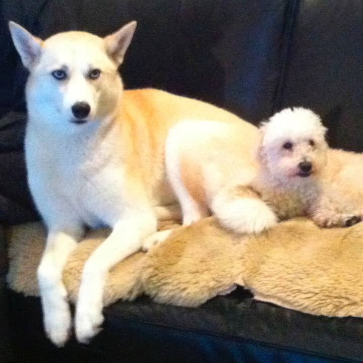 684910cf 8522 46ca 88b0 77275d7b739c 1532970766474