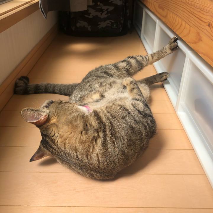 684939e4 ca23 4a78 81f5 5e6c7503cf5d 1567747215581