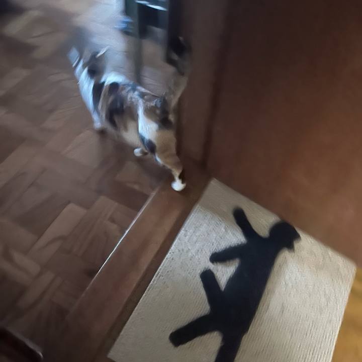 68499a33 e48d 4bf6 a3e2 fd7479b8b5ed 1767480640998